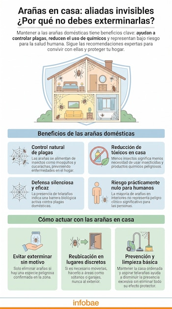 Infografía con título y subtítulo sobre arañas. Muestra una casa con arañas y seis recuadros con texto, iconos de telarañas, insecticida, persona, mano con frasco y aspiradora.