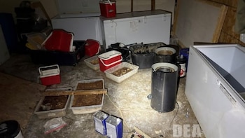 Desmantelan narcolaboratorio y confiscan más de 900 kilos de droga en California: hay 5 mexicanos detenidos