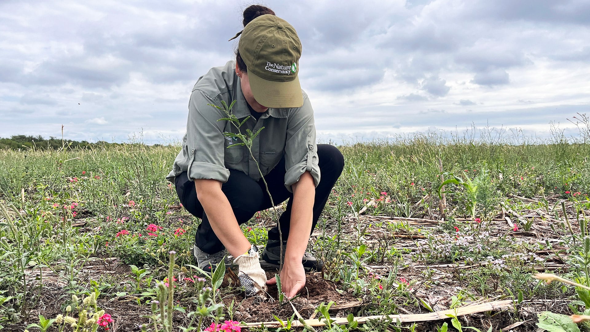 The Nature Conservancy Argentina y John Deere plantaron más de 100.000 árboles nativos para restaurar 367,2 hectáreas del Gran Chaco argentino (The Nature Conservancy)