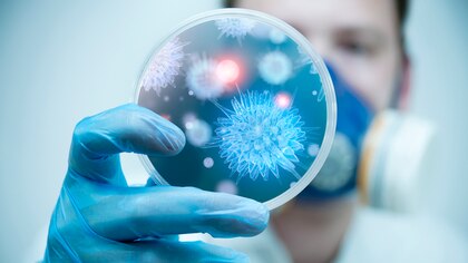 Las 15 bacterias resistentes a las que hay que prestarle atención en 2024