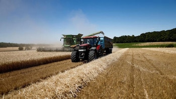 Los agricultores piden a Competencia que investigue a los operadores cerealistas por hundir los precios: “Hay manipulación del mercado”