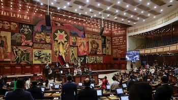 UNICEF cuestionó a Ecuador por