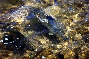 ONU advierte sobre la presión