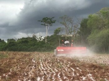 En el centro Caraguaty, de