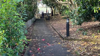 Lena Zhang Harrap solía caminar