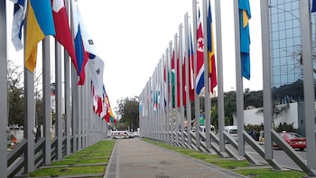 Bosque de banderas en la
