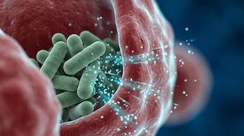 Bacterias alargadas de color verde junto a una estructura celular roja, con pequeñas partículas brillantes de color cian flotando entre ellas.
