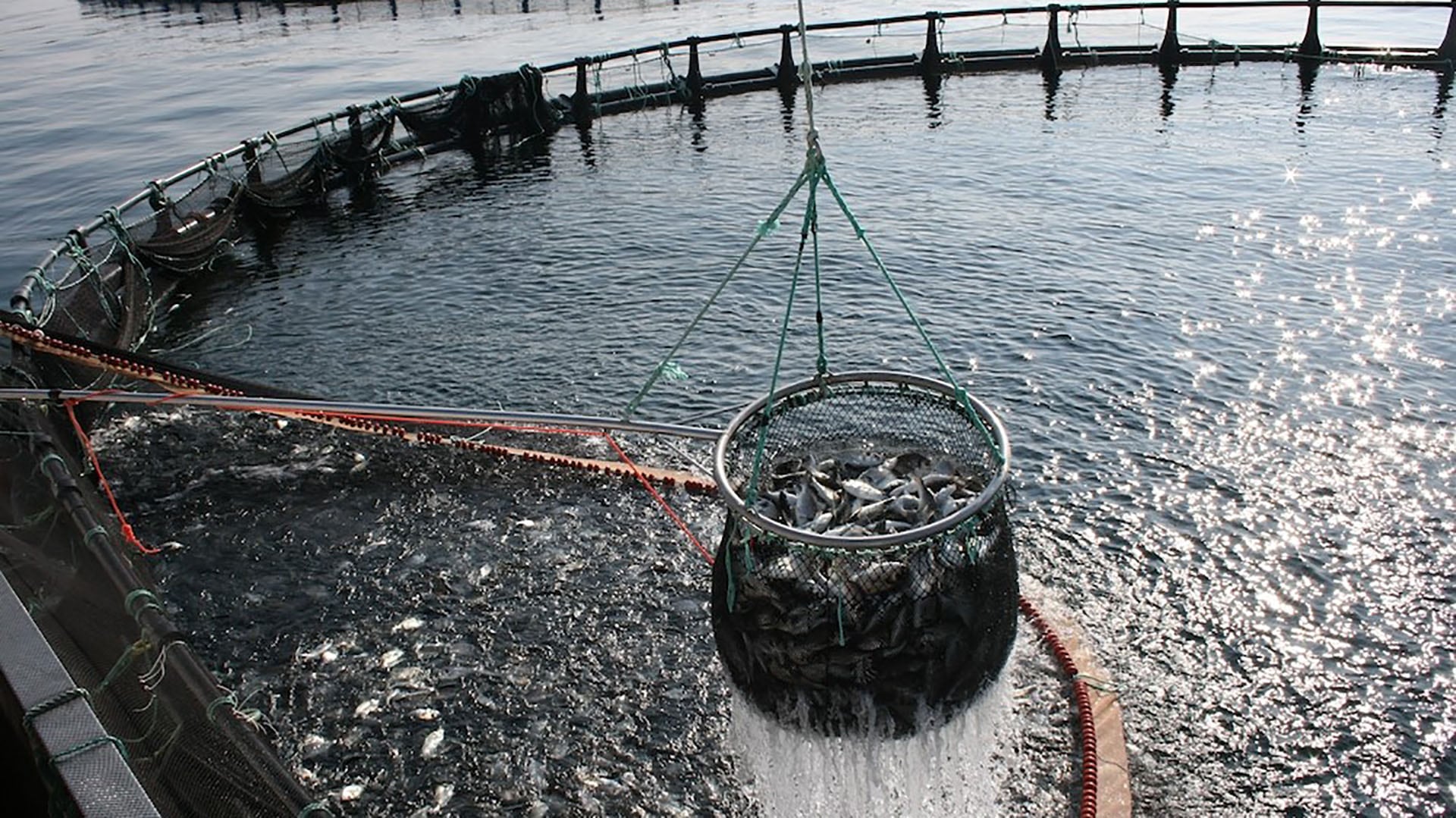 La ley estipula el uso consultivo de las aguas y la continuación del resguardo