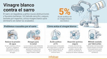 Infografía sobre el vinagre blanco contra el sarro, con ilustraciones de una regadera, grifo, botella de vinagre, pulmones, piel, elementos químicos y texto explicativo.