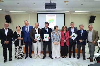 Imagen 2IIG4V6OFFGBJF4Q5264CAV2XE