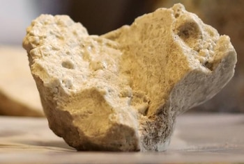 Piedra de litio (Foto: REUTERS/Mariana