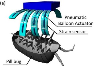 Dedos robóticos para manipular insectos.