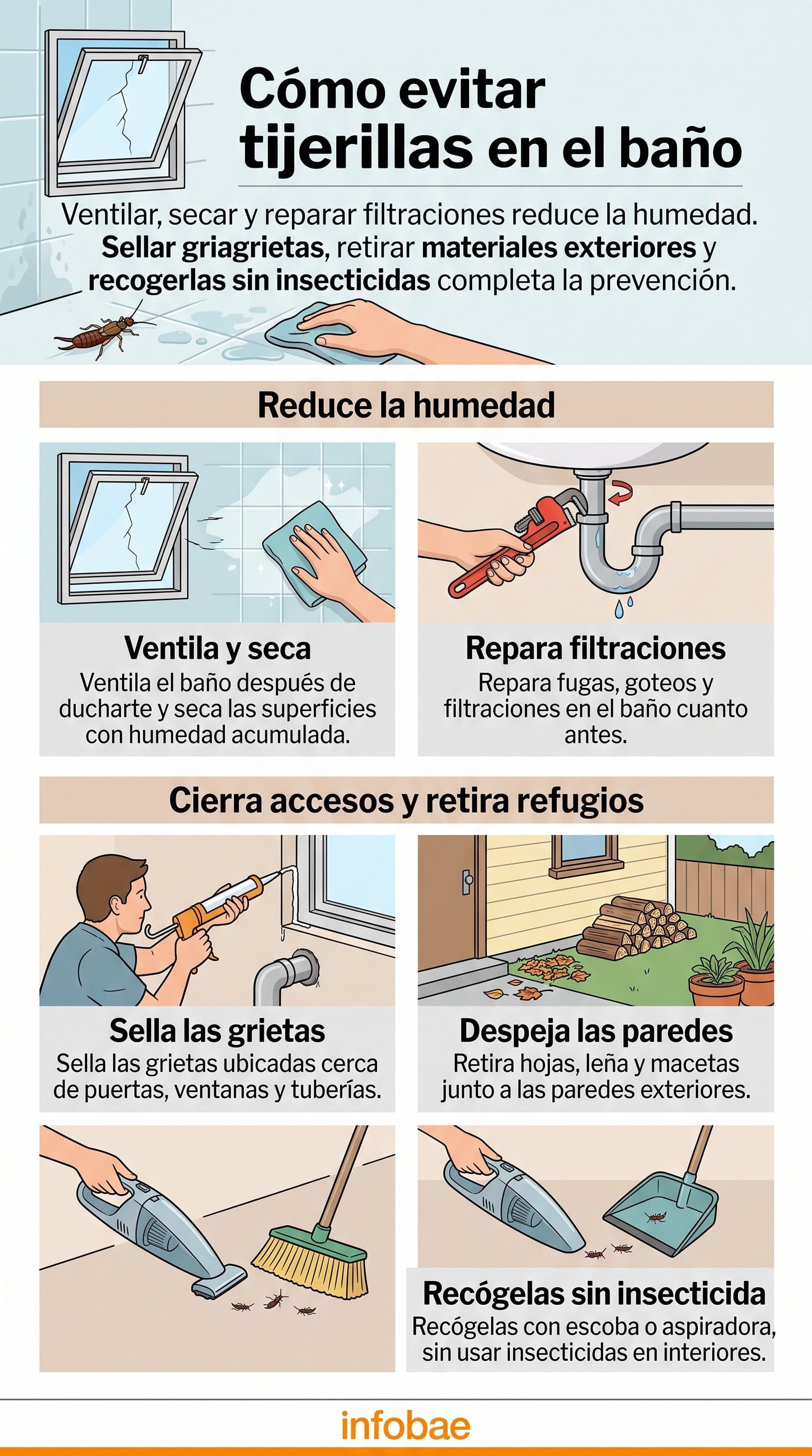 Recomendaciones para prevenir y eliminar las tijerillas en el baño. (Imagen Ilustrativa Infobae)