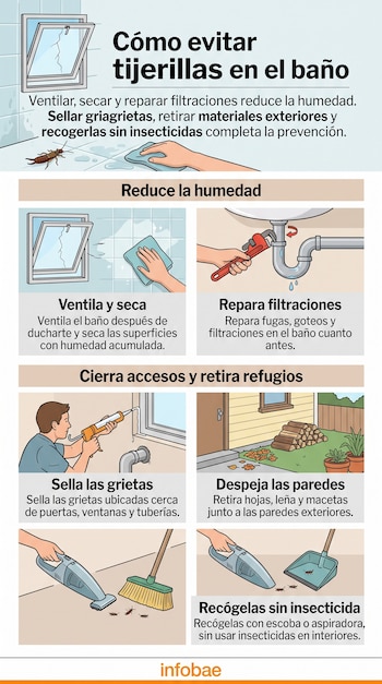 Infografía con seis ilustraciones explicativas sobre cómo reparar tuberías, sellar grietas y limpiar para evitar insectos en el baño.