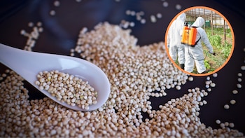 Uno de nuestros productos banderas