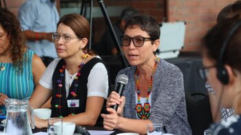 Viceministra Rosa Pinasco niega que