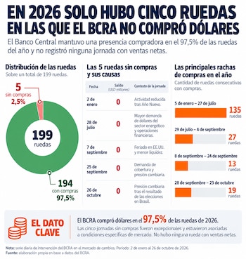 Infografía con un gráfico circular verde y rojo, una tabla cronológica y un gráfico de barras con datos numéricos de operaciones cambiarias