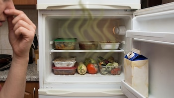 Si tu refrigerador huele mal prueba estos 7 trucos para evitarlo y cuidar los alimentos