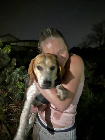 Docenas de personas se unieron para buscar a Harley en redes sociales.