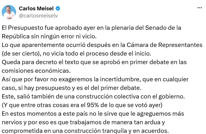 Carlos Meisel sostuvo que la discrepancia no invalidaría todo el trámite y defendió la adopción por decreto del texto aprobado en primer debate. - crédito @carlosmeiselv/X