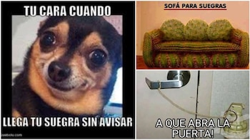 Día Mundial de la Suegra: