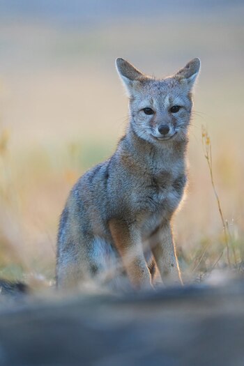 La travesía permitió a los
