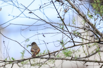 (GUATEMALA)- Fotografía que muestra un