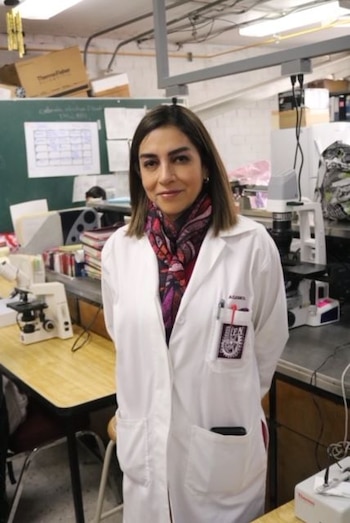Una investigación del IPN desarrolla