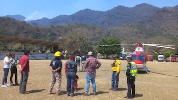 Programa Capturando Carbono impulsa plantaciones