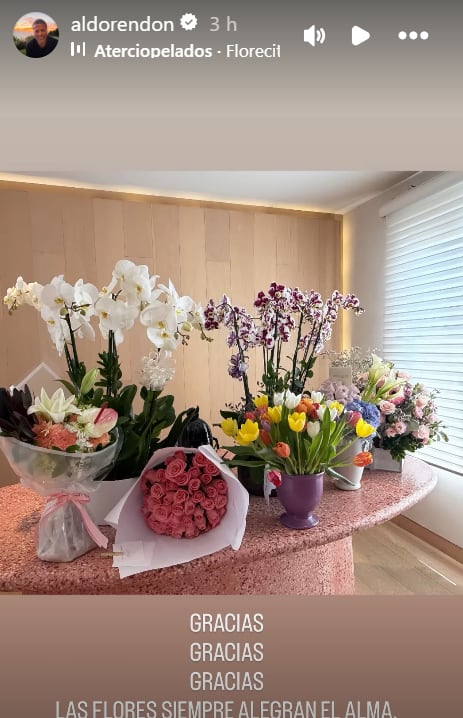 Aldo Rendón comparte en Instagram un arreglo floral que recibió tras su salida de La Casa de los Famosos México. (IG: @aldorendon)