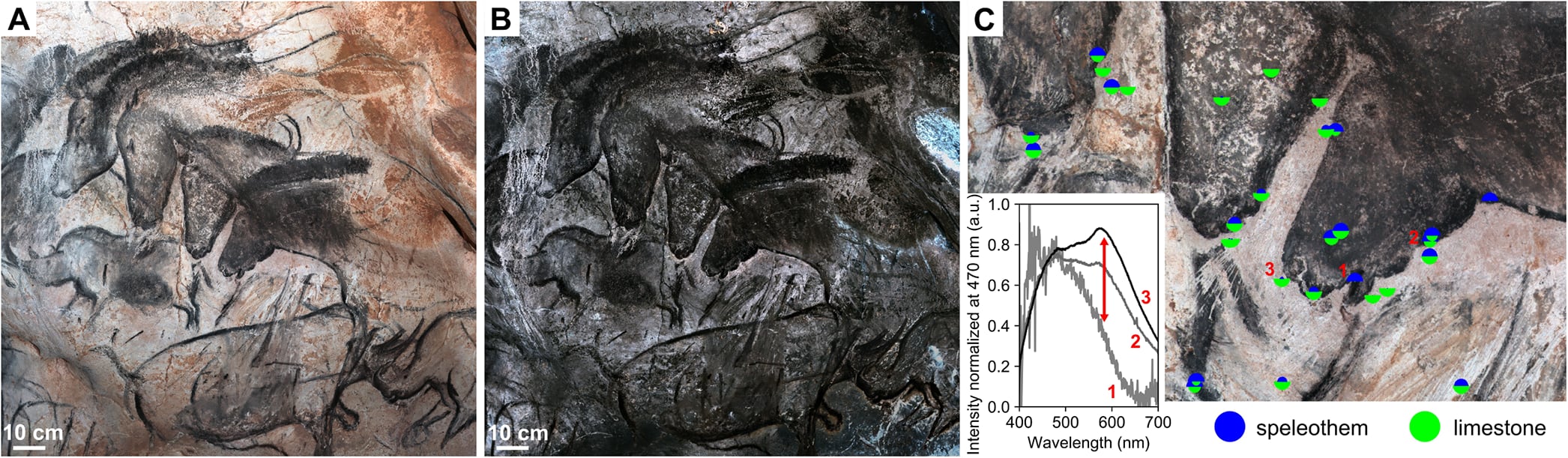 Un barniz natural de calcita protegió las pinturas rupestres de la cueva de Chauvet a lo largo de 37.000 años - Crédito: ACS Omega (2026). DOI: 10.1021/acsomega.6c05061