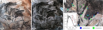 Un barniz natural de calcita protegió las pinturas rupestres de la cueva de Chauvet a lo largo de 37.000 años - Crédito: ACS Omega (2026). DOI: 10.1021/acsomega.6c05061