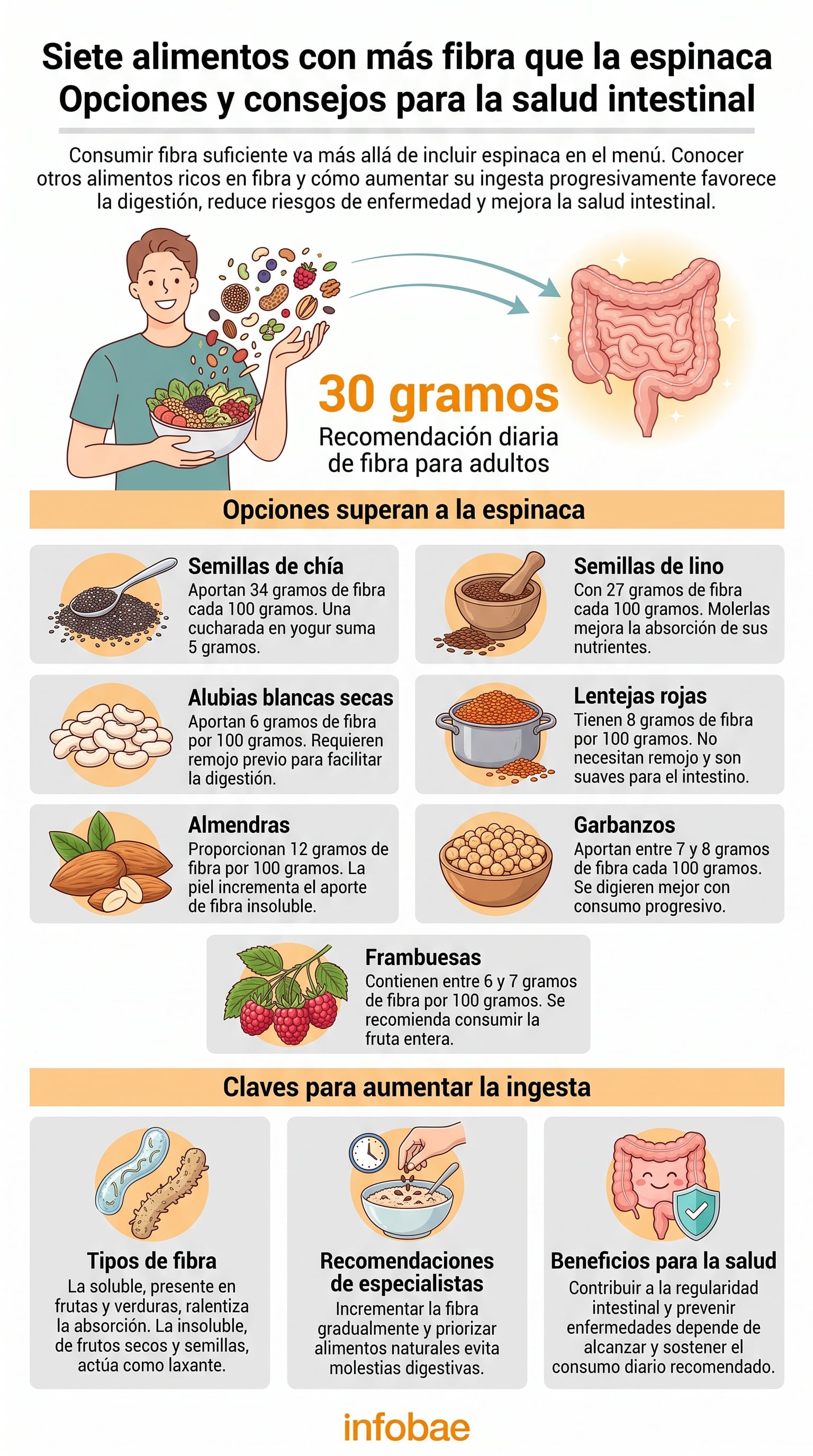 La meta diaria para adultos se ubica entre 25 y 30 gramos de fibra. (Imagen Ilustrativa Infobae)