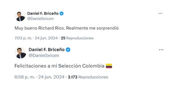 El concejal Daniel Briceño destacó la unidad que el triunfo genera en el país - crédito @Danielbricen / X