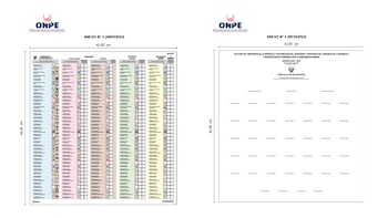 La cédula de sufragio de