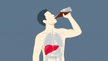 Qué relación encontró la ciencia entre las gaseosas y las bebidas azucaradas con la salud hepática