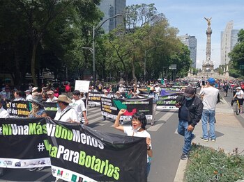 Los manifestantes invitaron a no