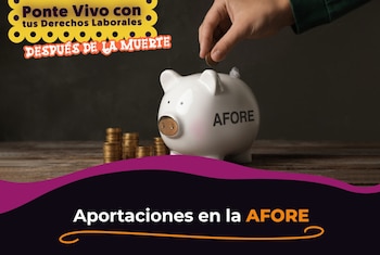 De acuerdo con la Profedet,