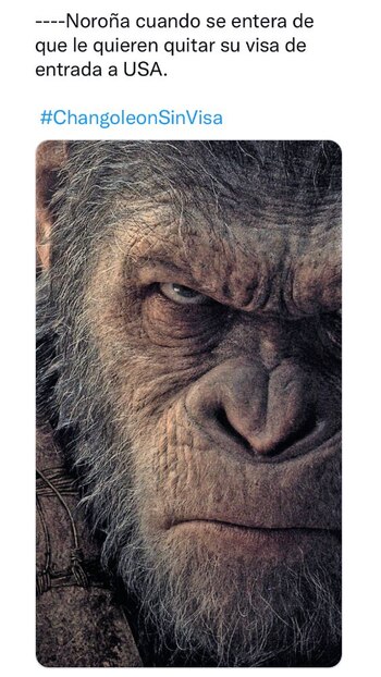 Usuarios en redes sociales se