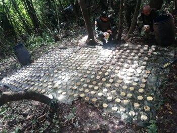 Cortesía: Ejército Nacional.