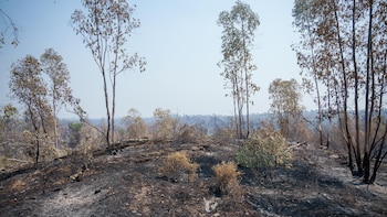 Frenar la erosión ante las tormentas: las claves de los expertos para recuperar el suelo quemado tras los incendios