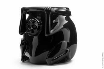 En la imagen, el mono