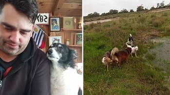 A un paso de mudarse,