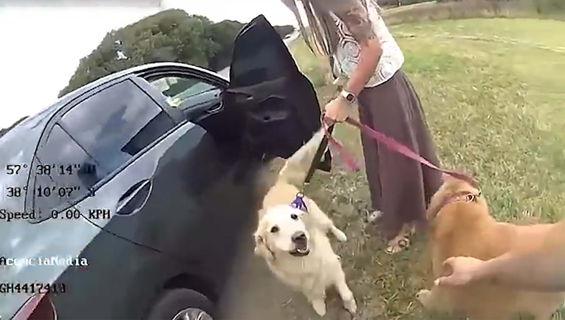 Ambos vehículos fueron captados realizando adelantamientos prohibidos en doble línea amarilla, una infracción grave sancionada según la Ley Provincial de Tránsito N° 13.927