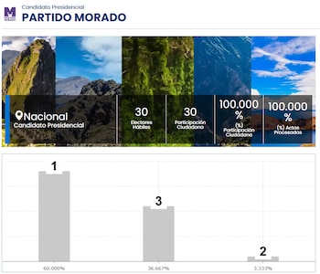 Elecciones primarias del Partido Morado.|
