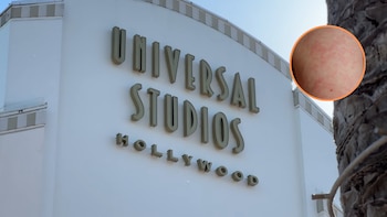 Alerta sanitaria en Los Ángeles: una visita de 11 horas a Universal Studios Hollywood generó preocupación por una posible exposición de sarampión