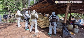 Los operativos se realizaron en Carácuaro, Michoacán, y en Zirándaro y Coahuayutla, Guerrero. (x @OHarfuch)