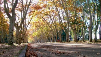 Los hechos ocurrieron en Durazno