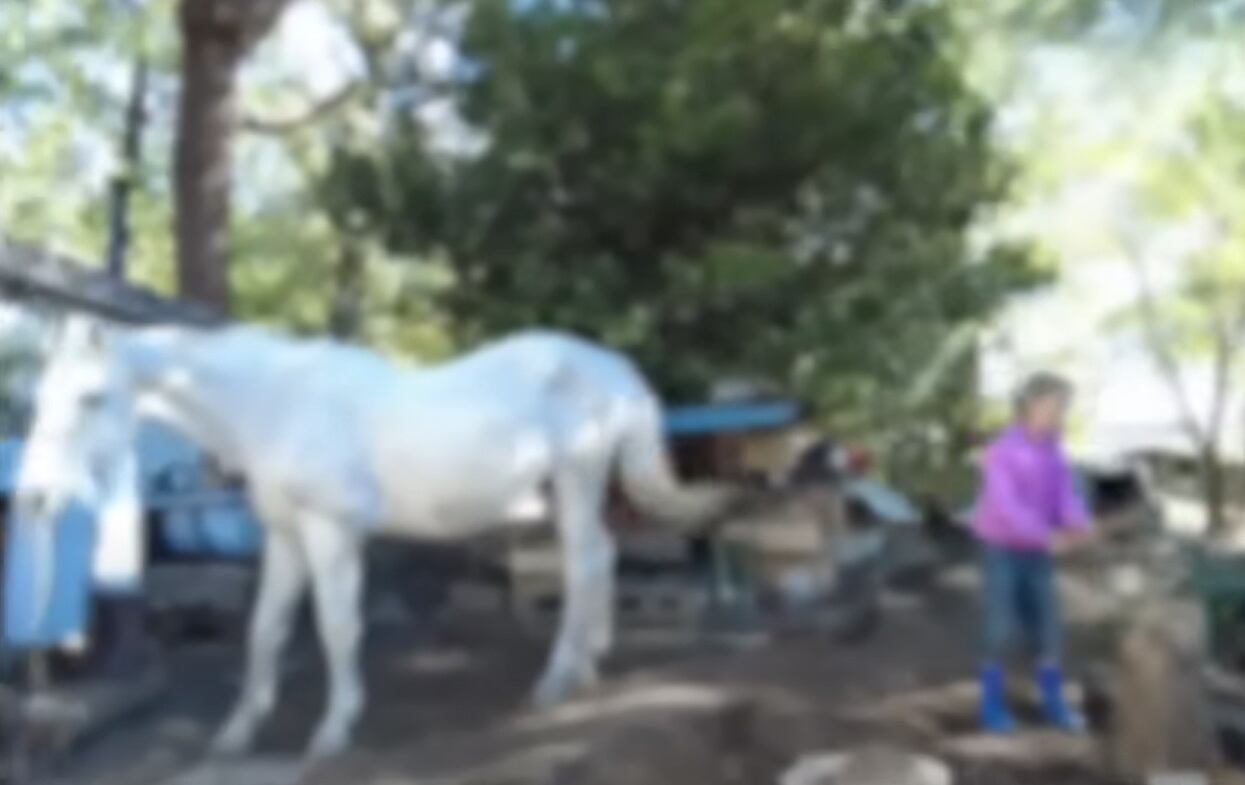 Según el tribunal, los niños viven en