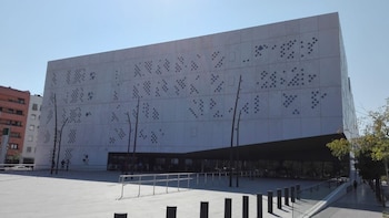 Piden 15 años de prisión